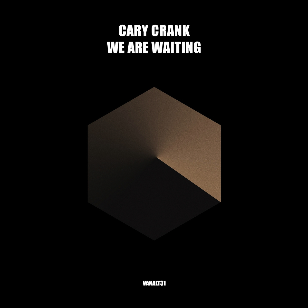 Cary Crank - We Are Waiting [VANALT31]